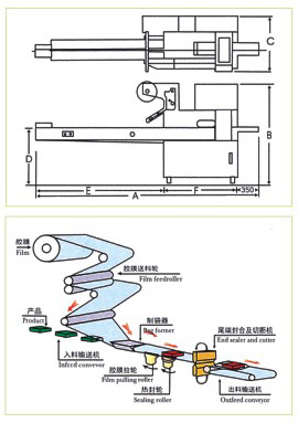 KD-450型上走紙枕式包裝機流程示意圖